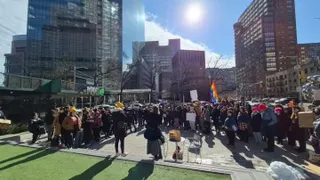Protesters gather against NYC hospitals cancelling trans youth care