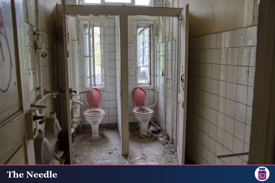 Idaho trans bathroom ban still forcing its way into law despite partial block