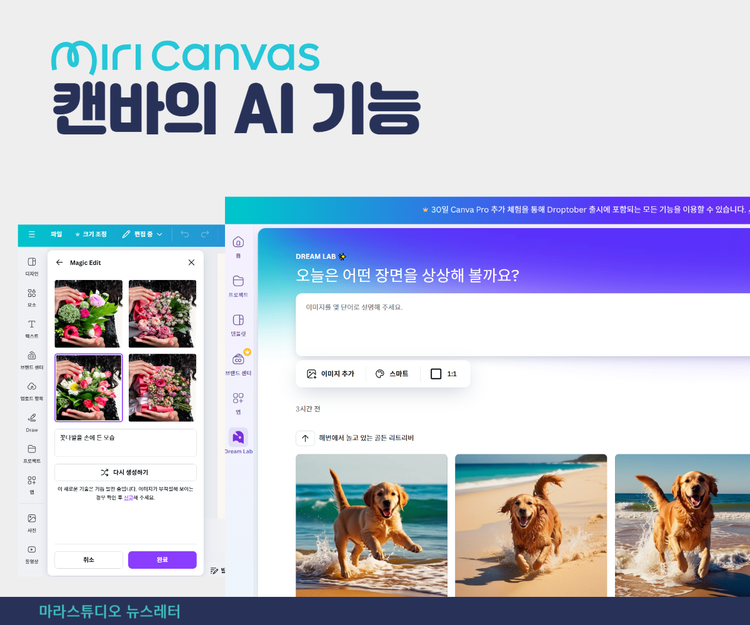캔바의 AI 기능