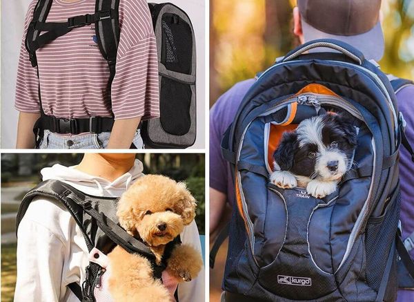 Pick the Perfect Pack: How to Choose a Dog Carrier Backpack
