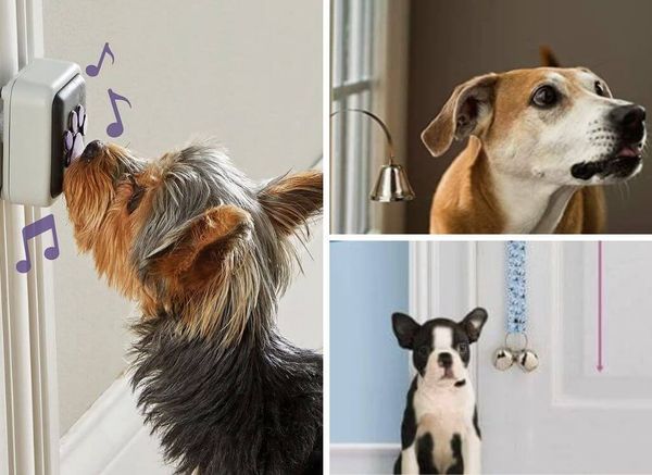 I Gotta Go Potty Now! the Best Dog Bells for Potty Training