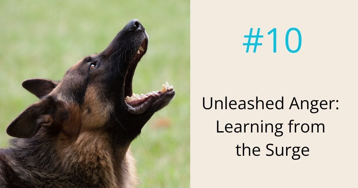 Unleashed anger-learning from the surge- episode 10 Om WOW Podcast