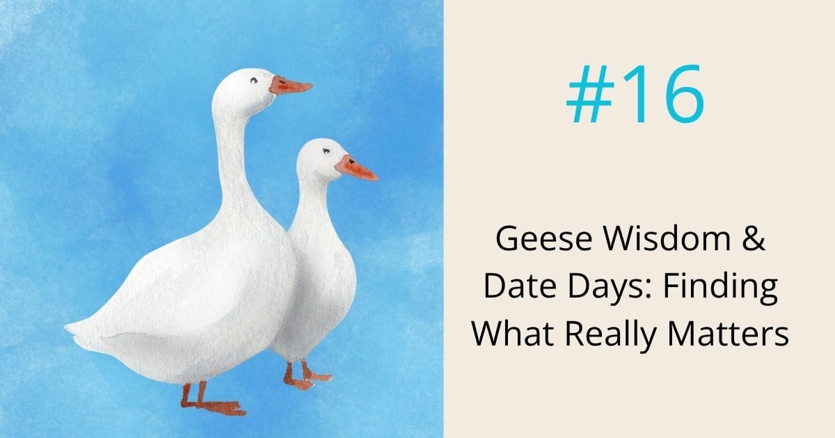 Geese wisdom and date days-finding what really matters- episode 16 Om WOW Podcast