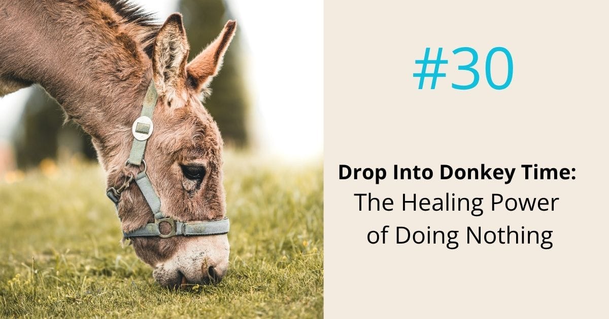 Drop into donkey time- the healing power of doing nothing- episode 30 Om WOW Podcast