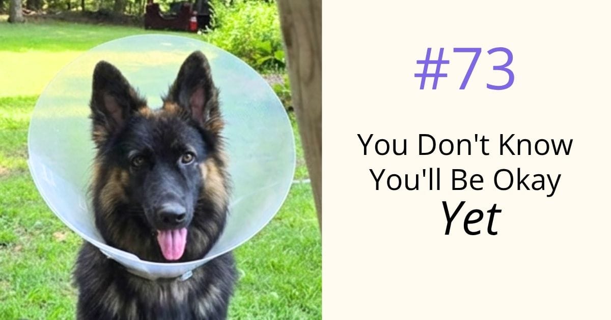 dog wearing a cone around her head - episode 73 You Don't Know You'll Be OK Yet