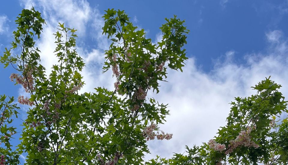 Pinterest Spring Trend Report