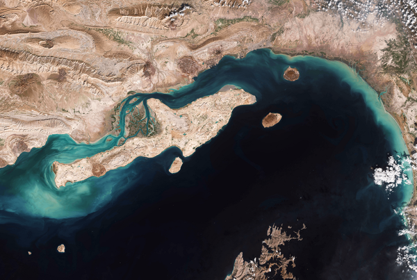 The Brief: Is the Peace Process in the Room with Us Now...?