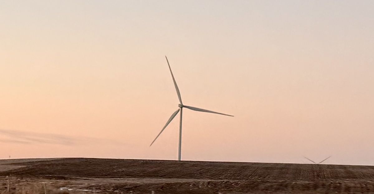 Thoughts on the Future of ESG