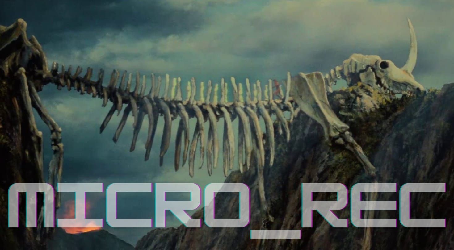 MICRO_REC WEEK 2: WHALES by Kelsey Oseid