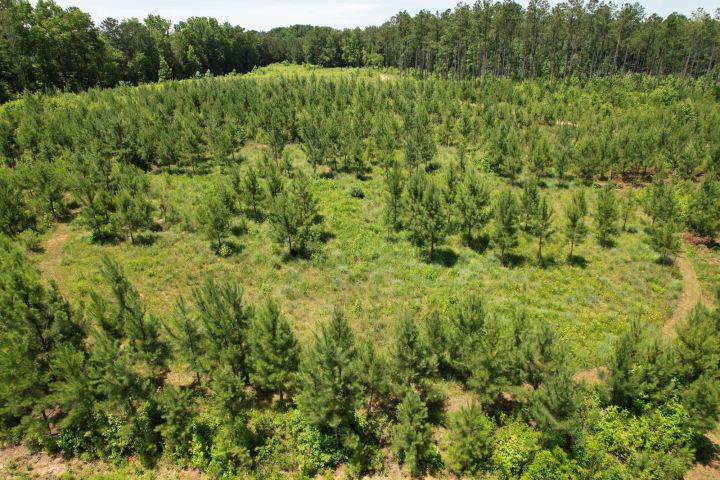 How NRCS Funding Supports Better Wildlife Habitat and Working-Land Stewardship