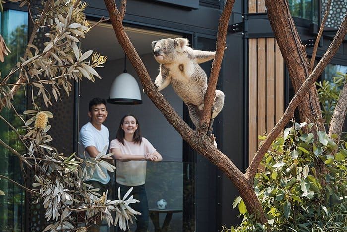 Stay: Taronga Wildlife Retreat