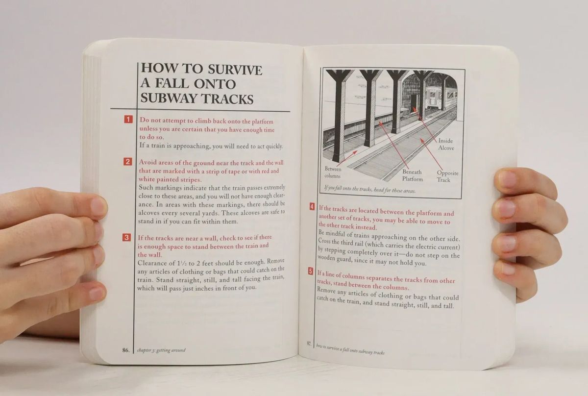 Read: 'The Worst-Case Scenario Survival Handbook: Travel'