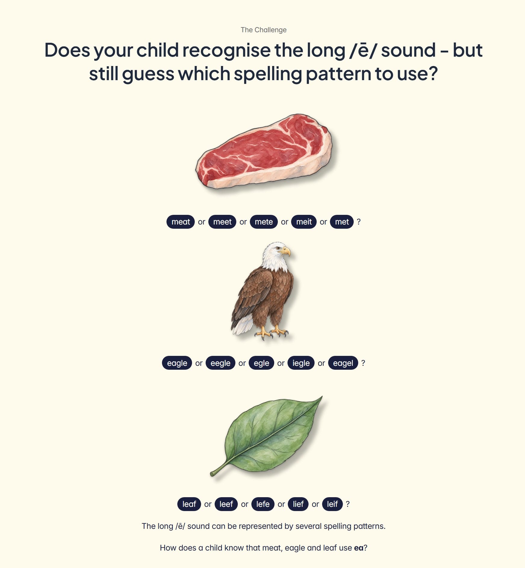 Spelling challenge section comparing correct and incorrect spellings of meat, eagle and leaf