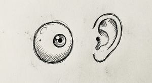 Who is allowed to speak out?