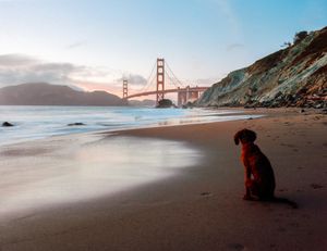 San Francisco Yearning