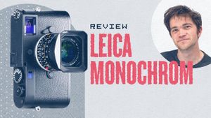 How do monochrome camera sensors work?