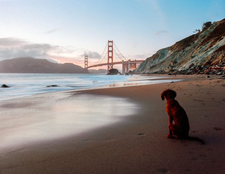 San Francisco Yearning