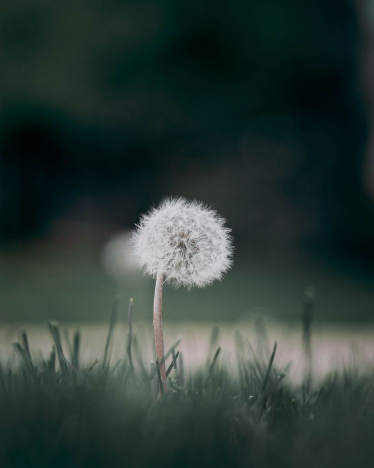 Day 31 - So This Is What Dedicated Feels Like