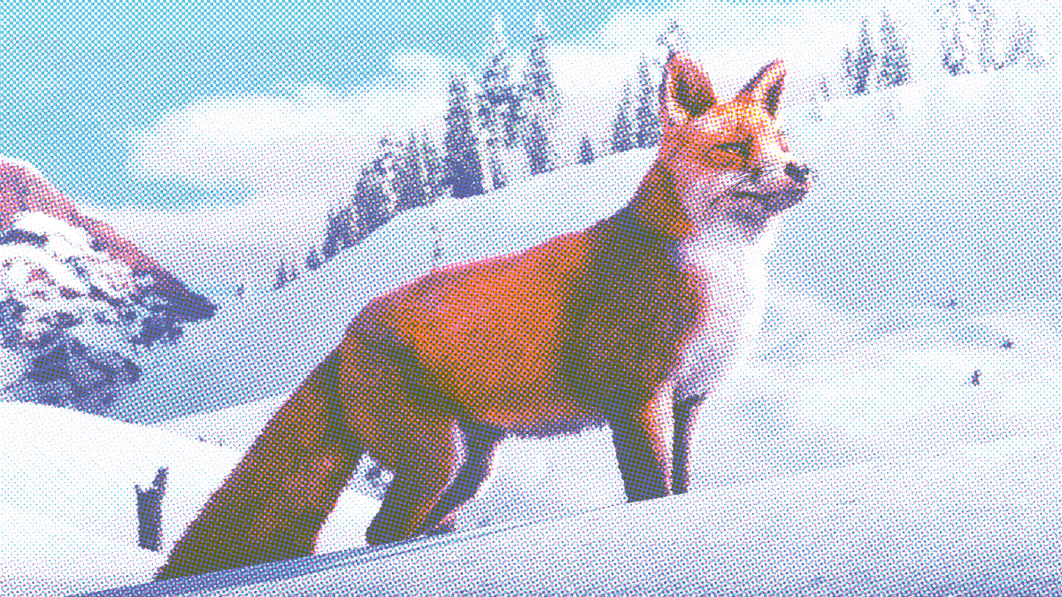 A handsome fox stands in the centre, surrounded by snow-covered mountains and trees.