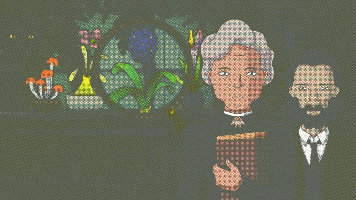 A stoney-faced woman and man stare towards the player, with a row of plants and a cat behind the