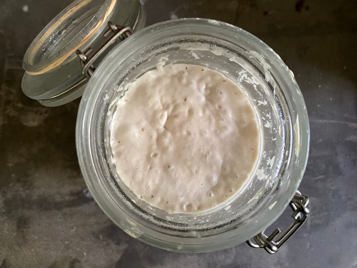 A tiny jungle microbiome