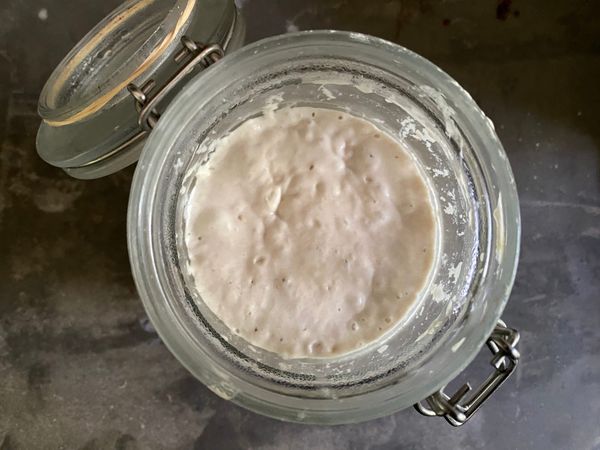 A tiny jungle microbiome