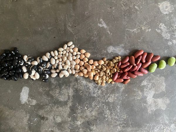 The Midlife Superfood No One Talks About