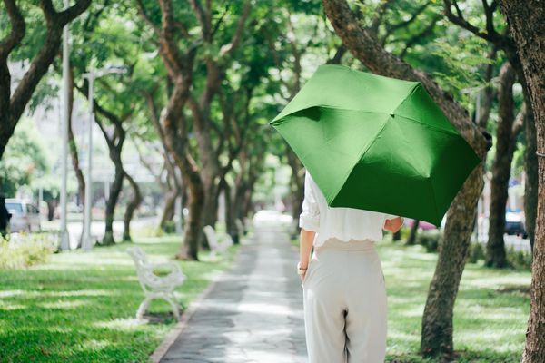 一名女子在林蔭人行道上撐著綠色陽傘