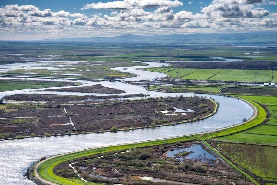 The Top Reason for the Delta Ecosystem Collapse: Massive Water Exports South