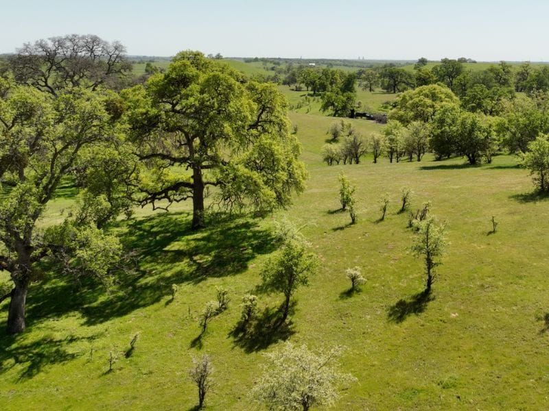 Update: SMUD cancels controversial Coyote Creek project that would remove nearly 3500 trees