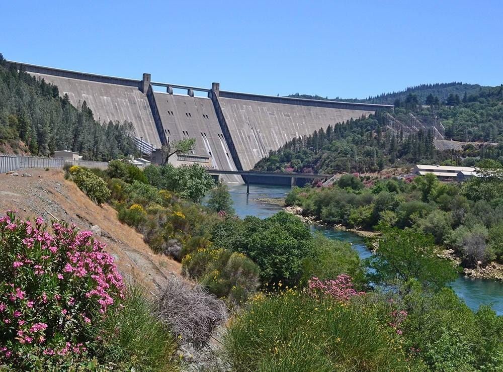 Fish groups say juvenile salmon will die unless feds release pulse flows into Sacramento River