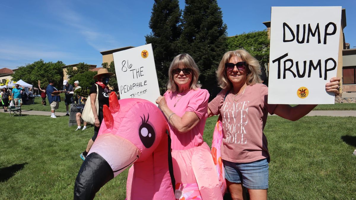 Largest Yet #NoKings Protest in Elk Grove Draws Huge Audience - Pictures and Videos