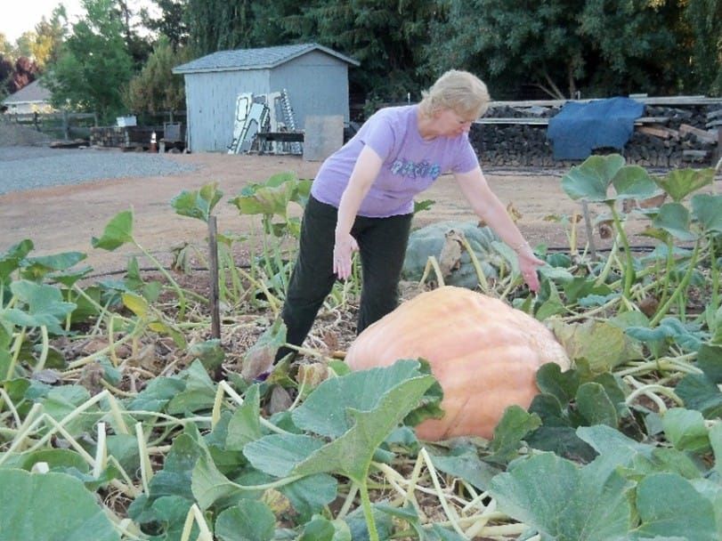 Rural Roots Sunday - A Rural Life Worth Protecting