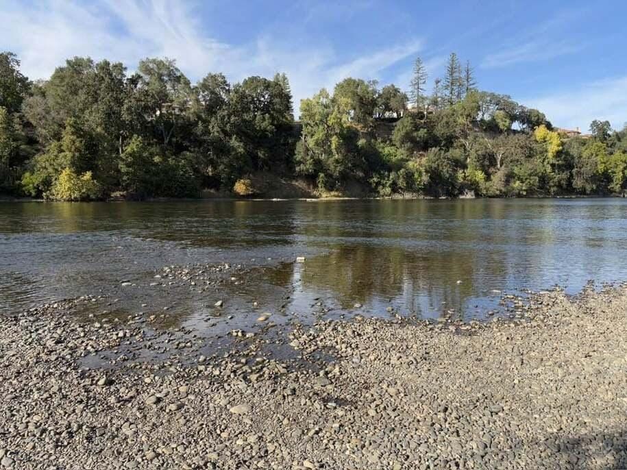 Increased Abundance of Sacramento and Klamath River Chinooks Points to Improved Salmon Season