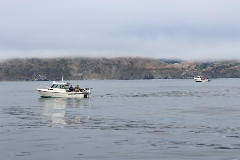 Good News: Three alternatives adopted for California's 2026 ocean salmon seasons