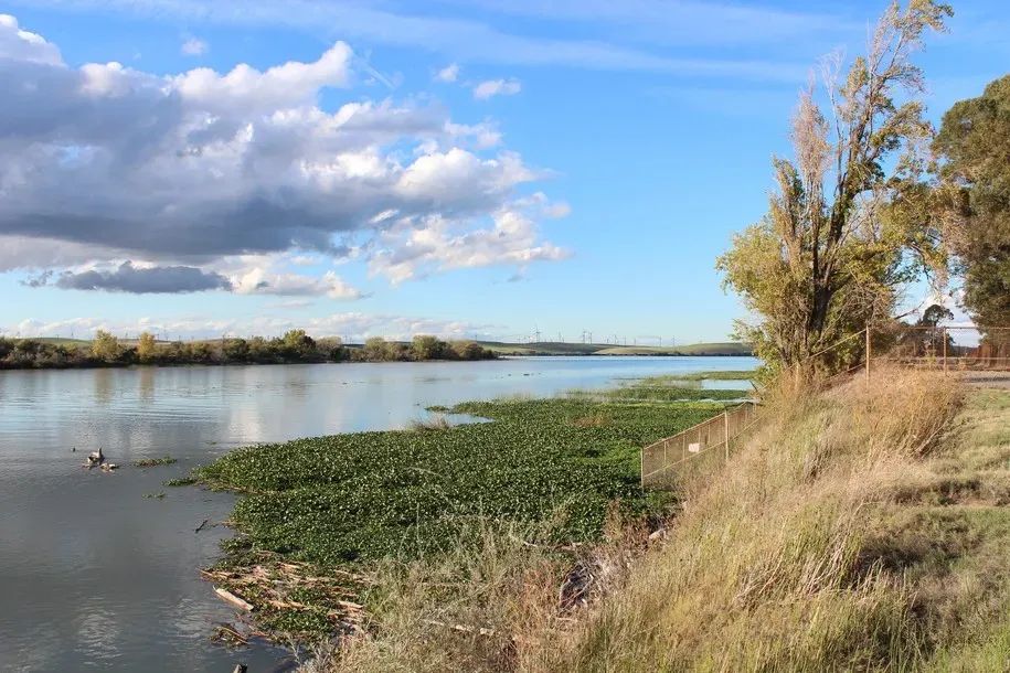 Tribes and Environmental Groups Slam Legislative Analyst's Office Report on Updated Bay-Delta Plan