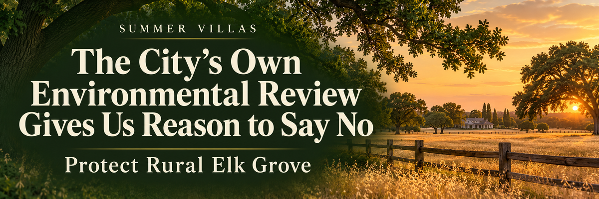 Summer Villas: The City’s Own Environmental Review Gives Us Reason to Say No