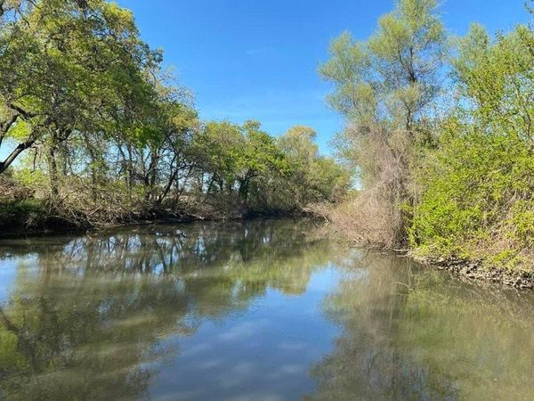 On Endangered Species Day, Groups Tell Water Board Feds Are 'Unreliable Partners'