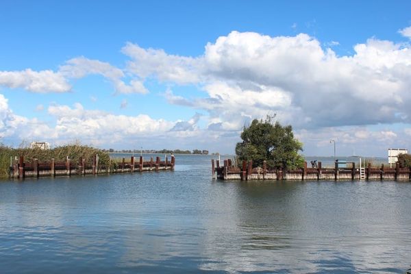 Delta Tunnel opponents slam Governor Newsom's revised budget plan to fast-track project