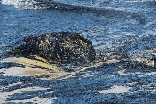 Sable Offshore announces oil pipeline in production on tenth anniversary of Refugio Beach Oil Spill