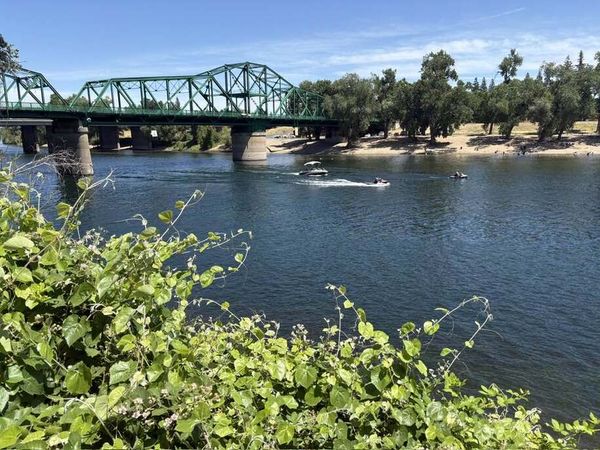 Urgent Action Alert: Newsom Holds Budget Hostage to CEQA 'Reform' Bill to Fast-Track Delta Tunnel