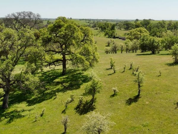 Update: SMUD cancels controversial Coyote Creek project that would remove nearly 3500 trees