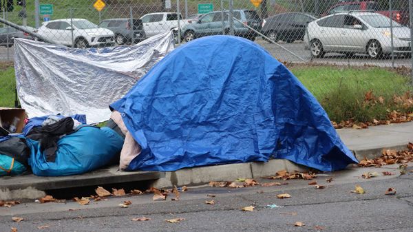 Elk Grove Week at a Glance - Week of Jan. 5