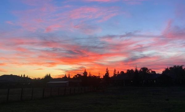 Rural Roots Sunday - Growing up in Elk Grove's Rural Area