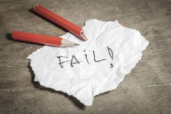 One Year After Elk Grove’s Zoo Collapse: Millions Lost, Just $1.9M Raised - and No Political Fallout