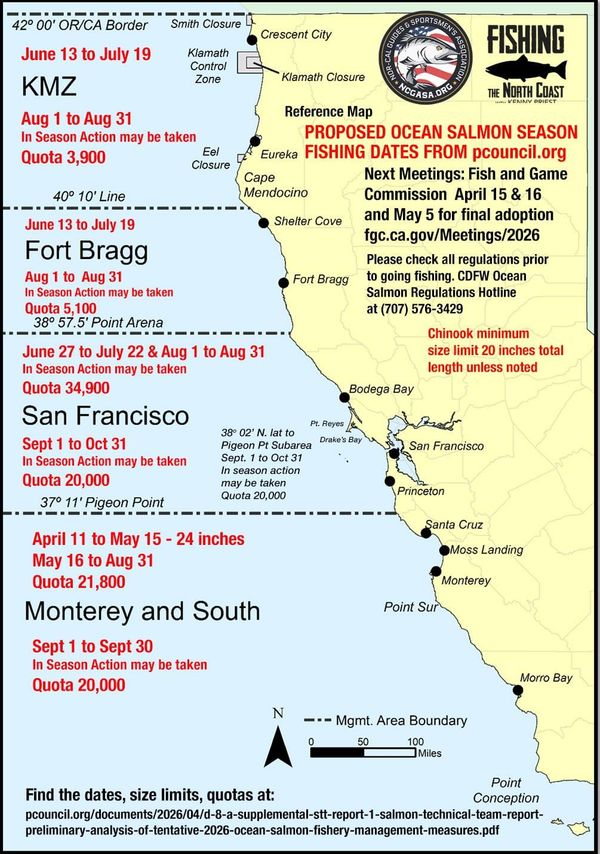 Sport and commercial salmon fishing to open on California ocean waters this year, subject to quotas