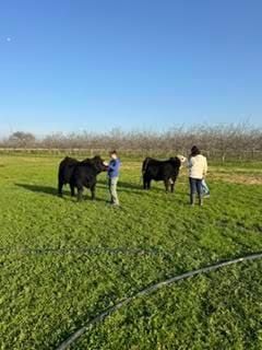 Rural Roots Sunday - Elk Grove Residents Value the Rural Area