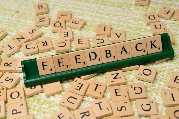 Elk Grove Community Survey Now Open: Residents Invited to Share Input