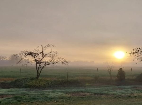 Rural Roots Sunday: What do I like best about life in Rural Elk Grove? In a word...Everything!