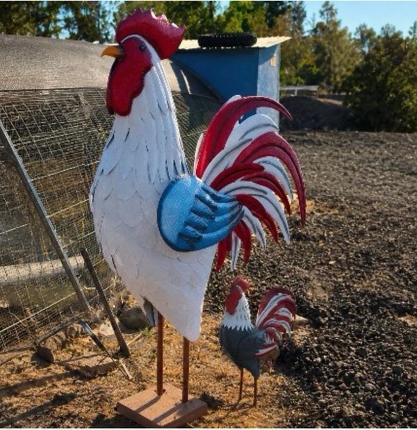 Rural Roots Sunday - My Rural Elk Grove Story